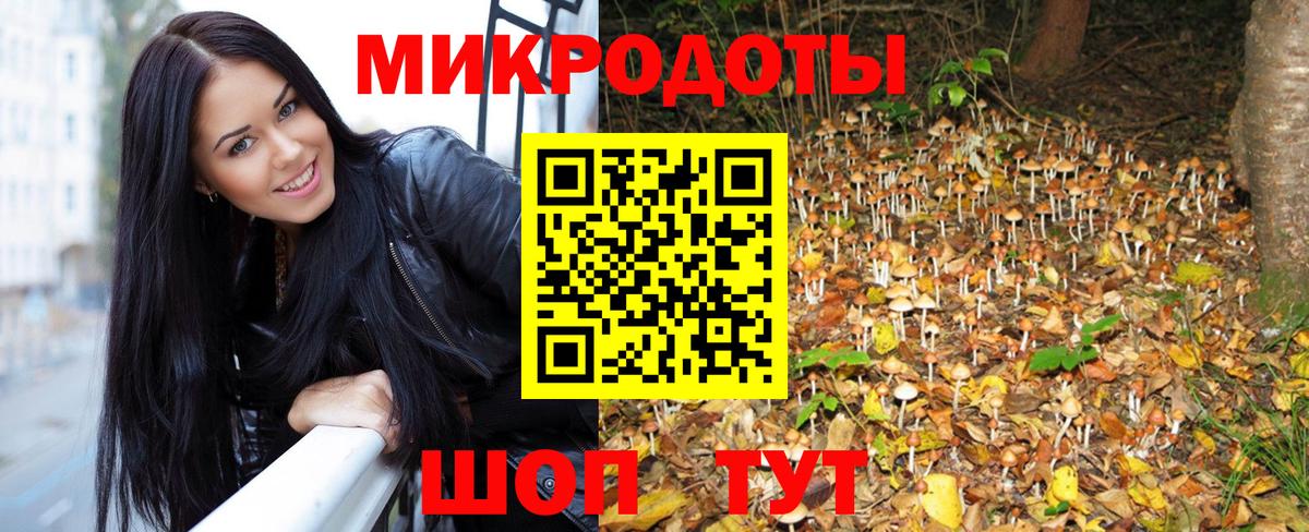 Галлюциногенные грибы GOLDEN TEACHER  Вход с VPN  Долгопрудный  Галлюциногенные грибы Cubensis 